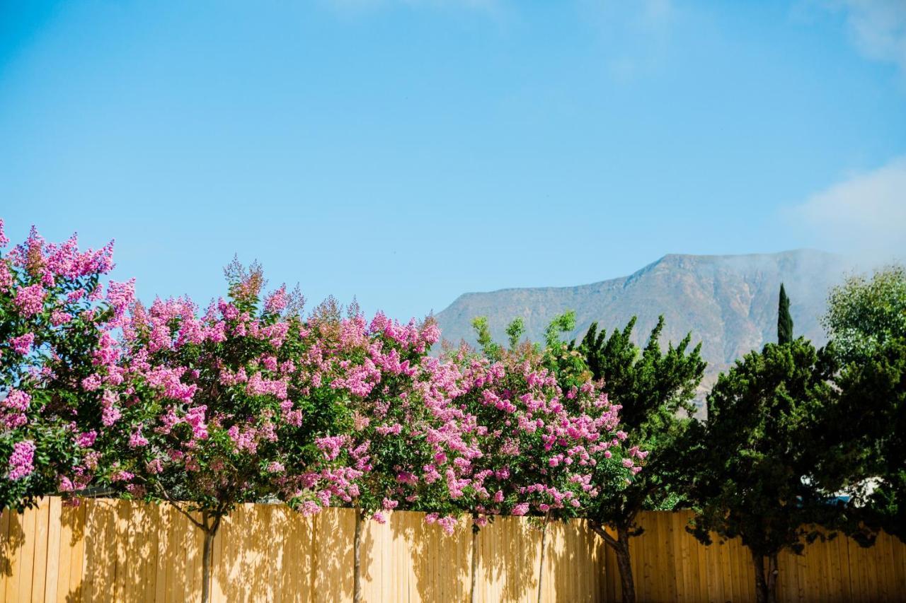 Casa Ojai Inn מראה חיצוני תמונה